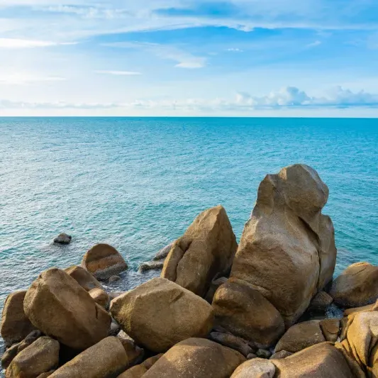 Fonctionnalités Fishing Grid
