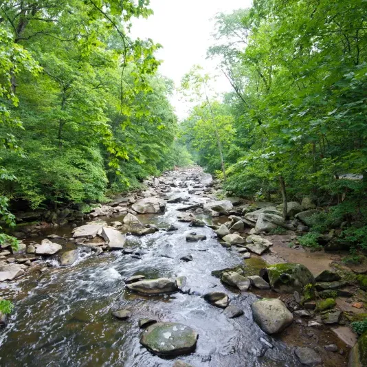 Spot de pêche Creek