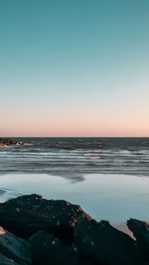 Carnet de pêche digital